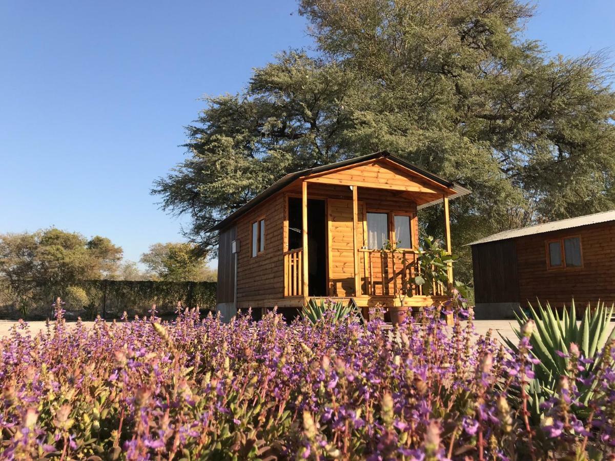 Kololo Guesthouse 카티마무릴로 외부 사진